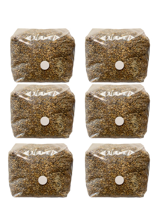 3lb Sterilized Golden Rye Grain Bags (6 Bags)