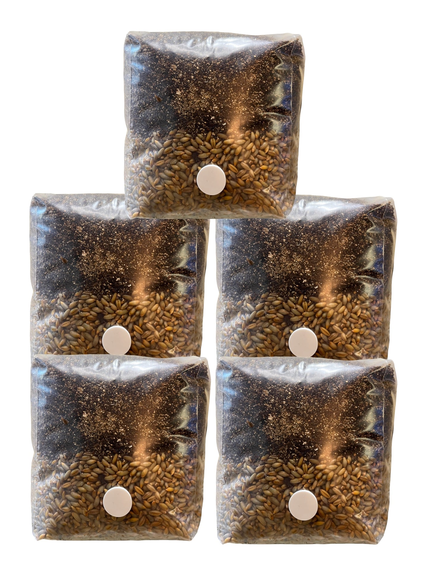 All-in-One MyndSpawn Mushroom Grow Bag (5 Pack)