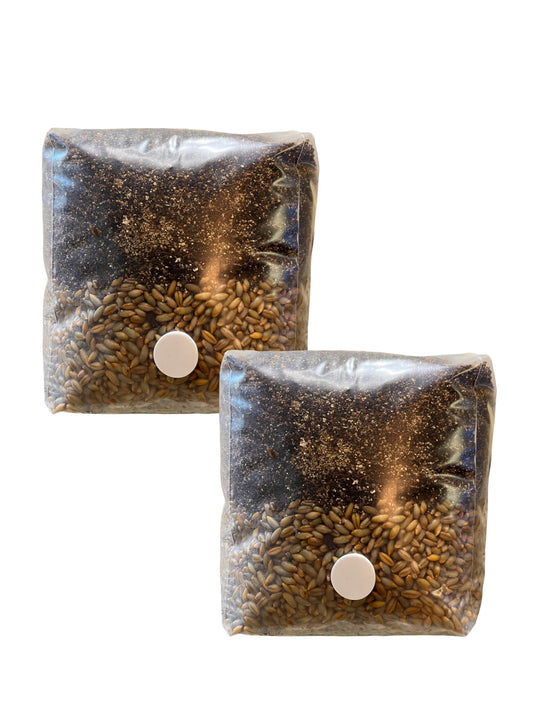 All-in-One MyndSpawn Mushroom Grow Bag (2 Pack)
