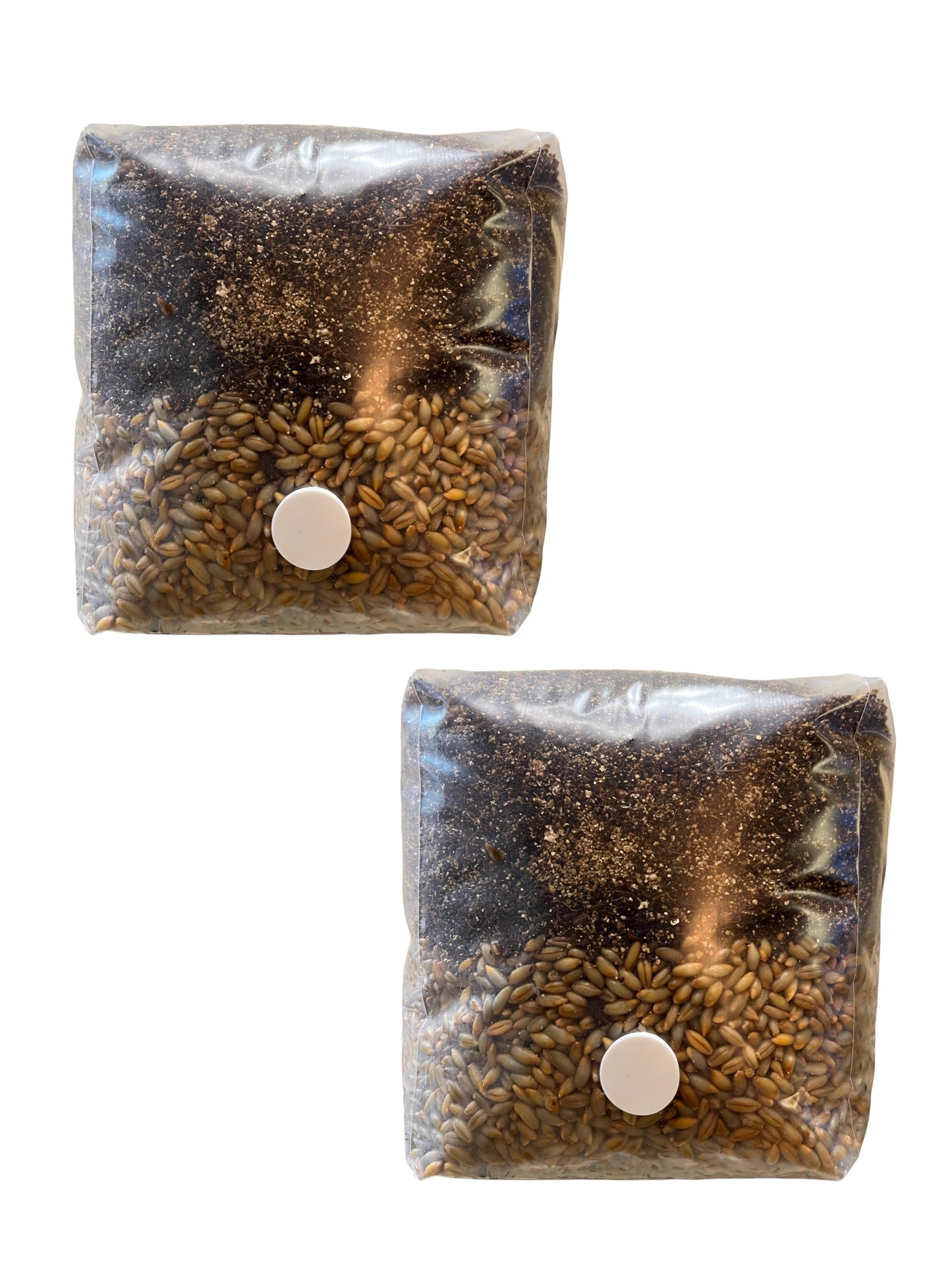 All-in-One MyndSpawn Mushroom Grow Bag (2 Pack)