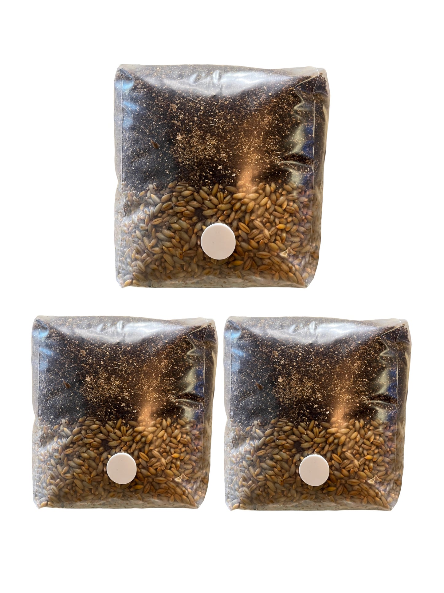 All-in-One MyndSpawn Mushroom Grow Bag (3 Pack)